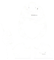Ingeniero de instalaciones eléctricas